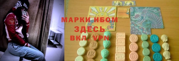 стаф Бородино