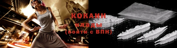 стаф Бородино
