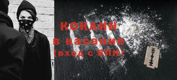 стаф Бородино