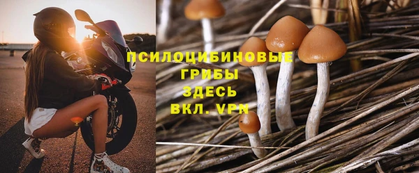 стаф Бородино