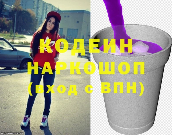 стаф Бородино