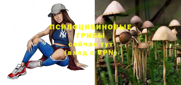 a pvp Бронницы