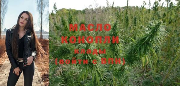 стаф Бородино