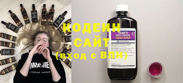 стаф Бородино